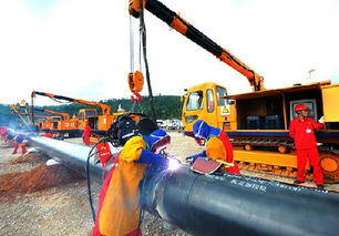 英媒 中油工程联合中标尼日利亚天然气管道工程